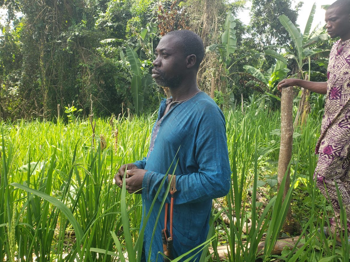 Ecovitalize Africa