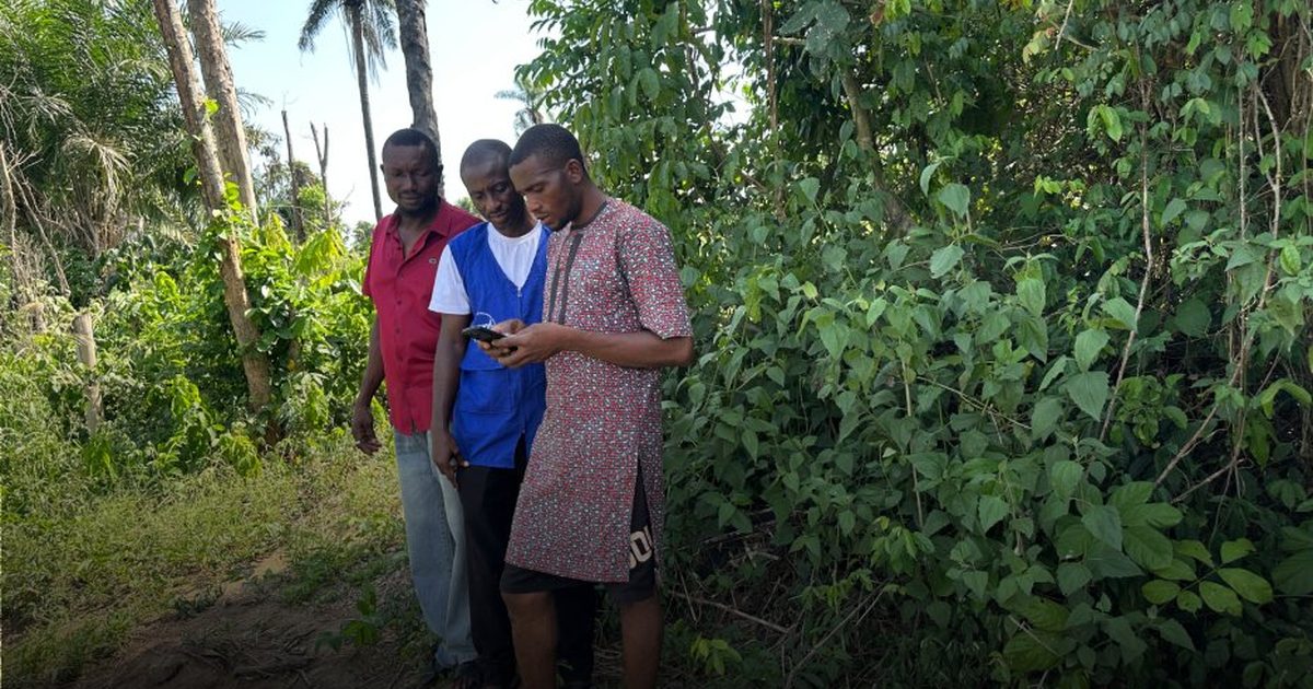 History in the Soil: iTONA AFRICA Launches in Araromi Ekiti with Founding Seal Council, First Coordinator and First Verified Farmers